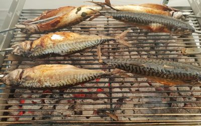 Frischer Fisch vom Grill